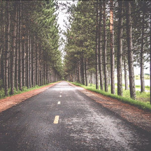 Meet your Posher, Bella